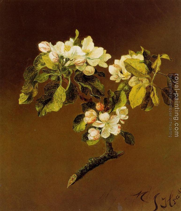Martin Johnson Heade : A Spray of Apple Blossoms